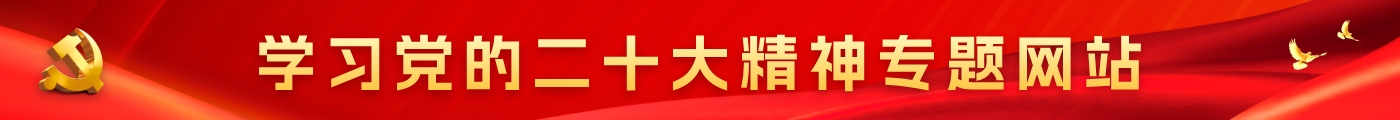 学习党的二十大精神专题网站