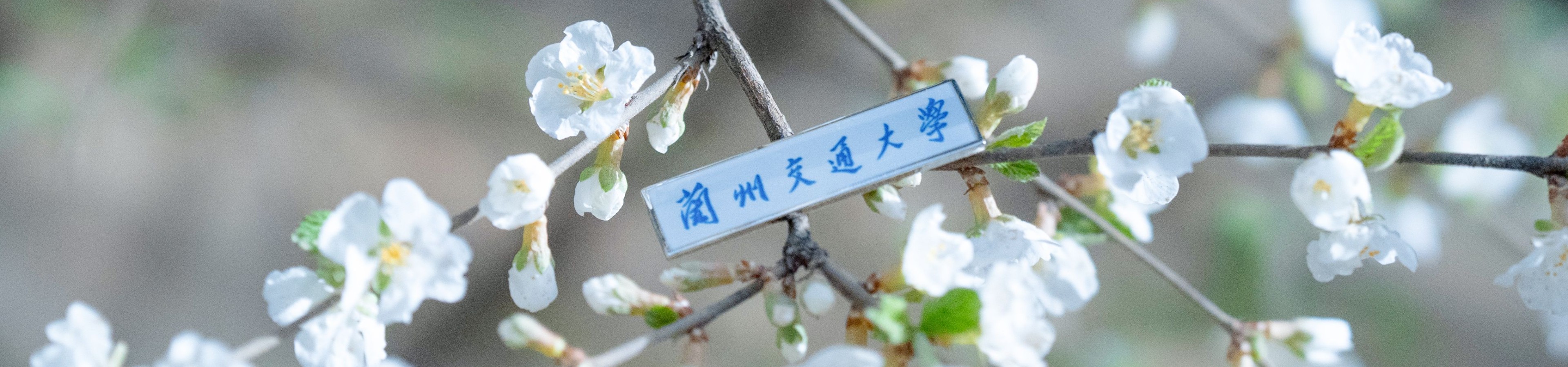 工作动态内页大图