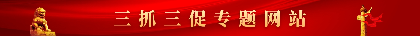 三抓三促专题网站